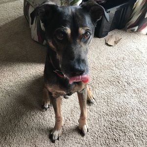 Meet your Posher, Angelika